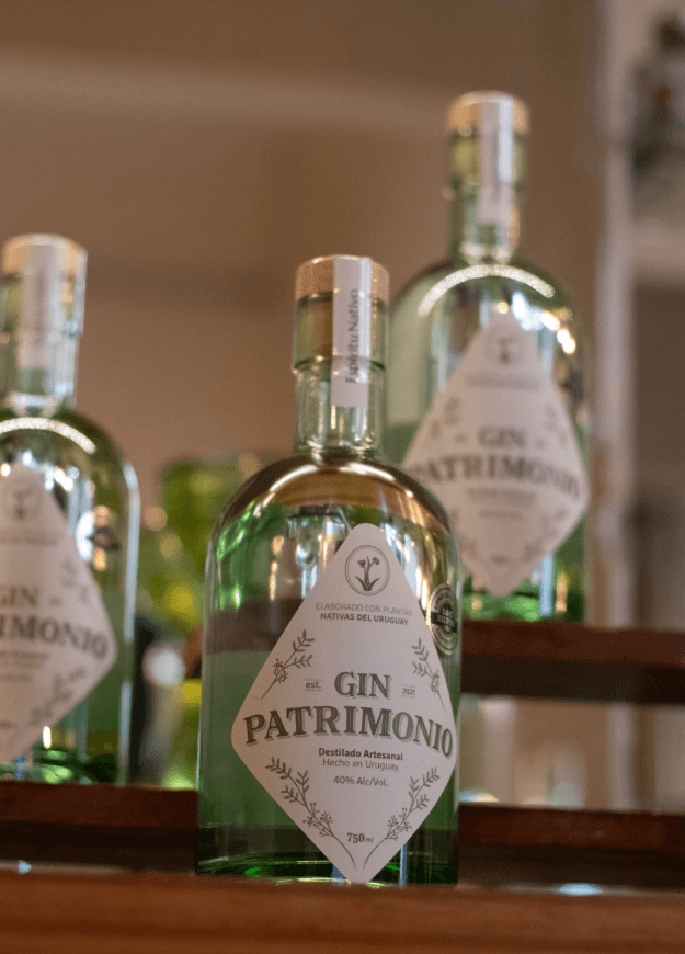 Gin Patrimonio: un homenaje líquido al bosque uruguayo