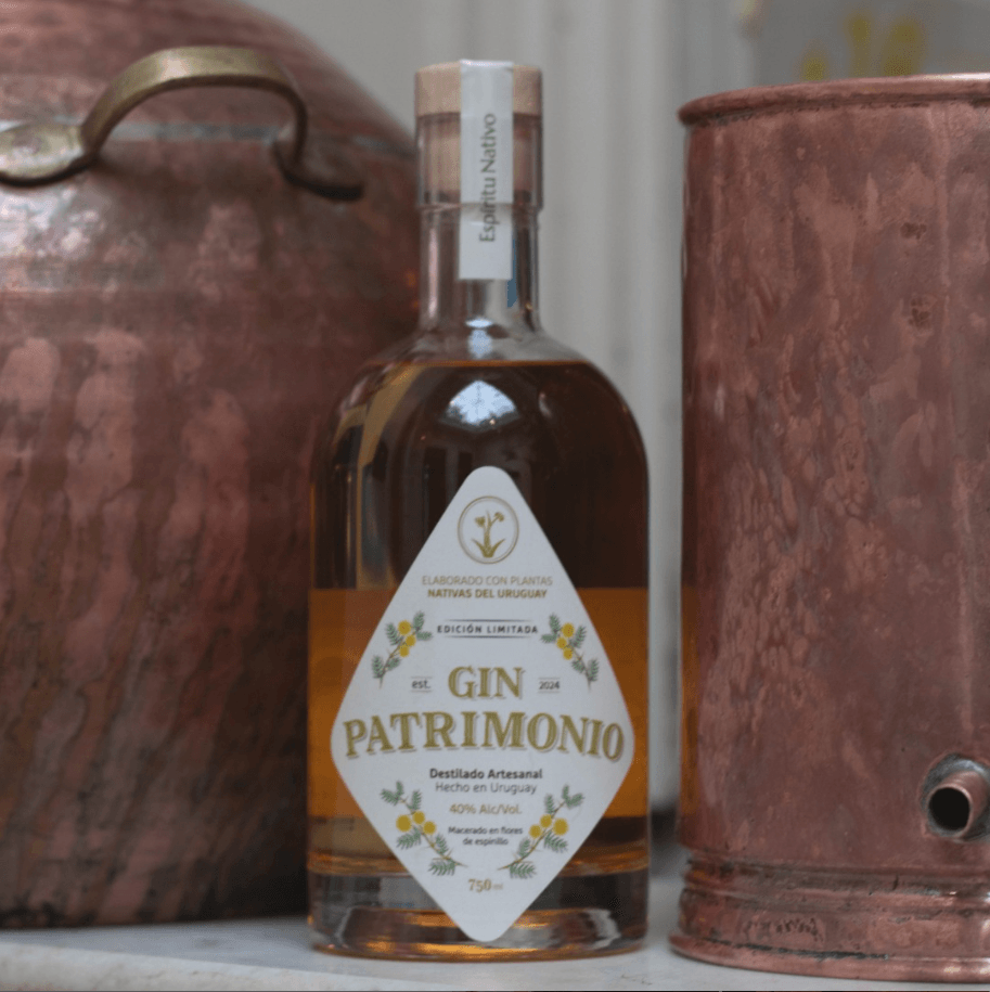 Gin Espinillo 24