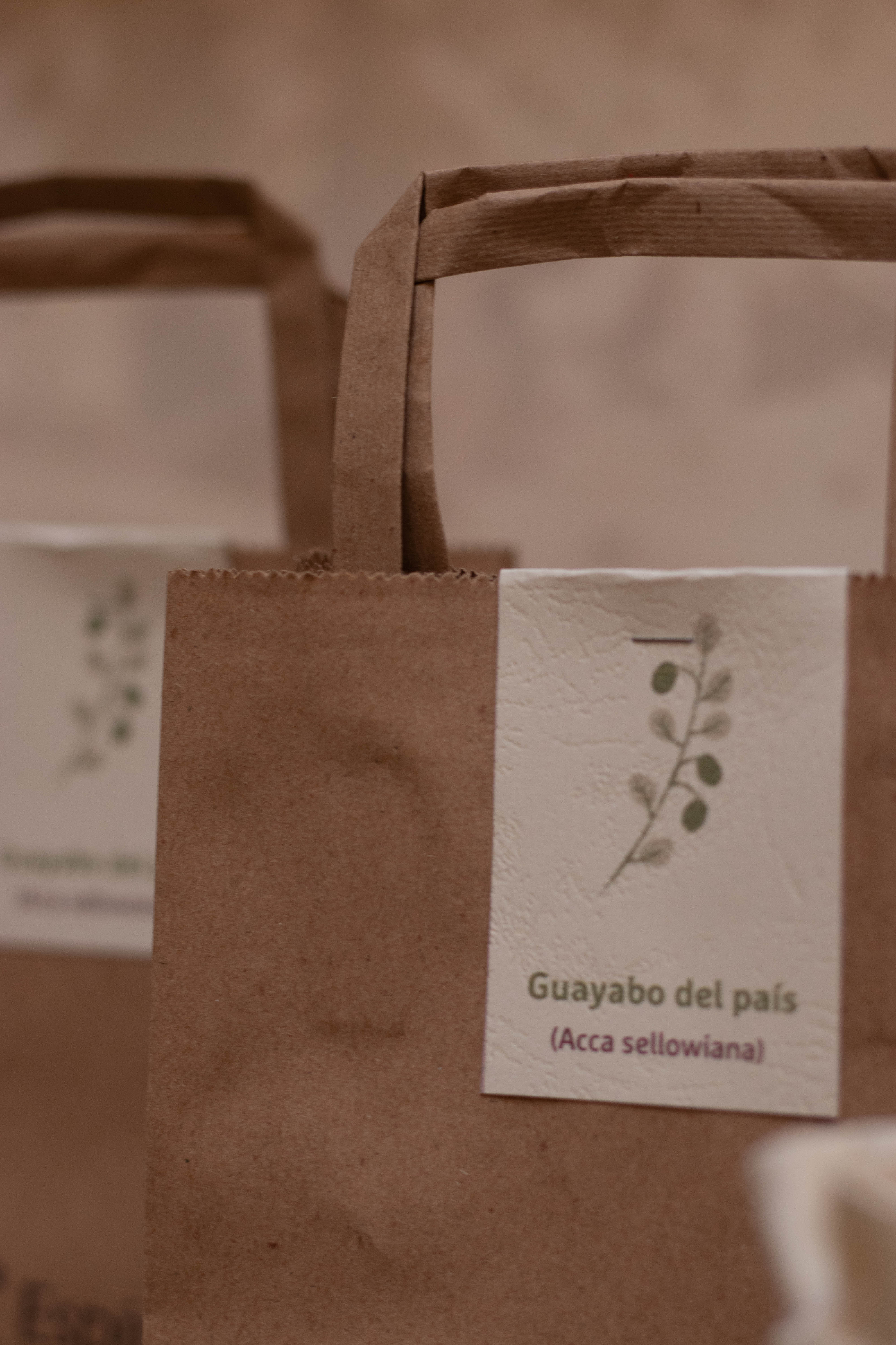 Kit Empresarial Personalizado